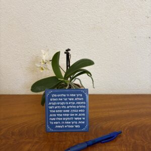 asher yatzar magnet (blue) sephardi
