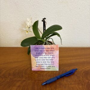 asher yatzar magnet (colorful) edut hamizrach