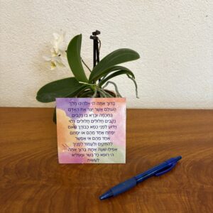 asher yatzar magnet (colorful) ashkenaz