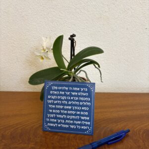 asher yatzar magnet (blue) ashkenaz
