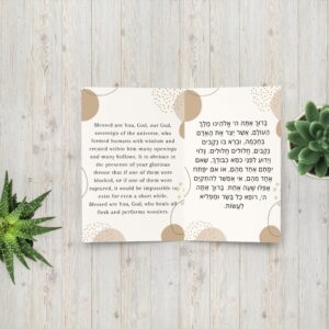 asher yatzar card (brown bubbles) edut hamizrach